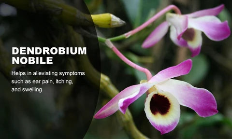 NESLEMY™ Tinnitus Treatment Ear Patch image NESLEMY™ Tinnitus Treatment Ear Patch