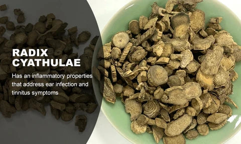 NESLEMY™ Tinnitus Treatment Ear Patch image NESLEMY™ Tinnitus Treatment Ear Patch